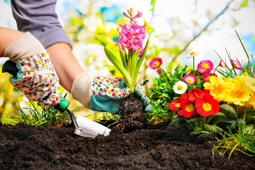 narzedzia ogrodnicze Przygotowanie ogrodu do sezonu – wszystko, co musisz wiedzieć